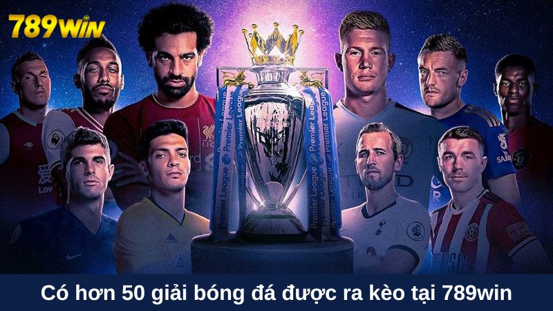 Có hơn 50 giải bóng đá được ra kèo tại vn88